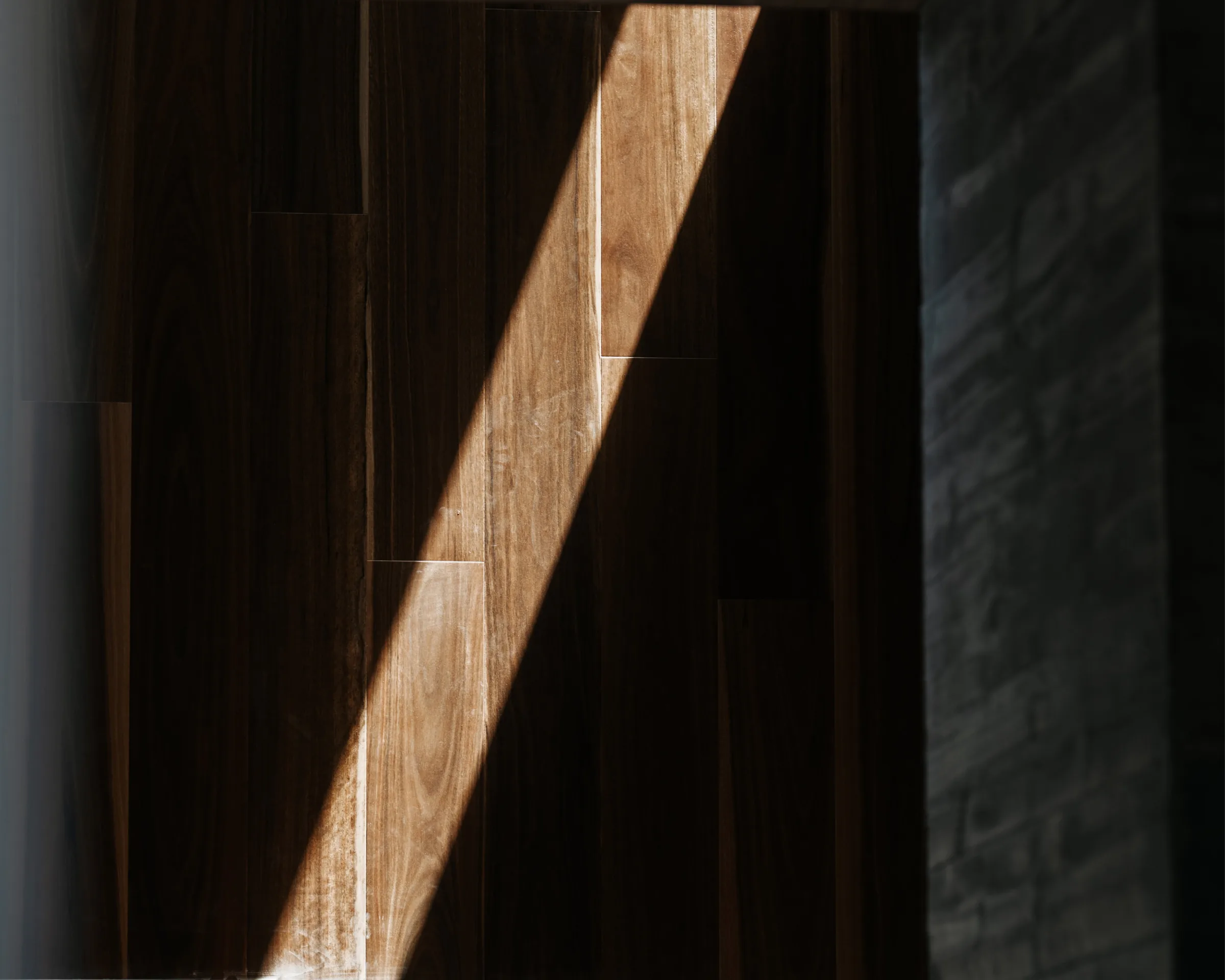 Afternoon light raking across dark timber boards